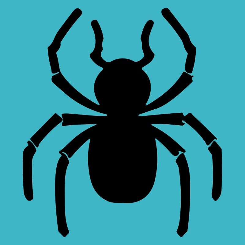 araignée