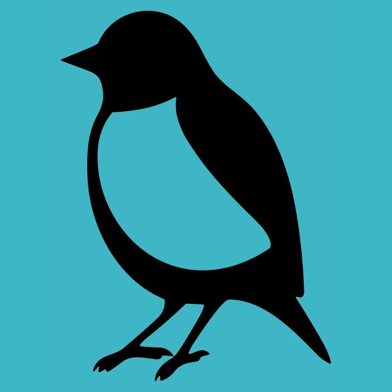 Little bird