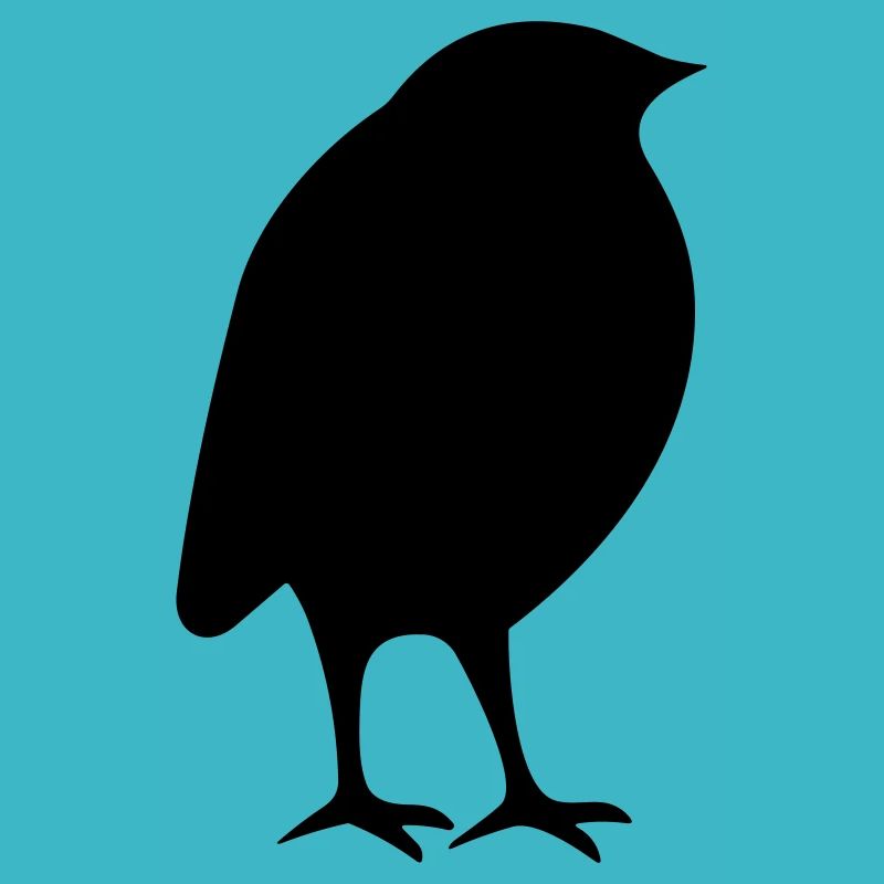Petit oiseau