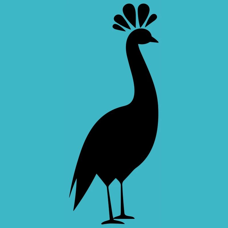 Little Peacock