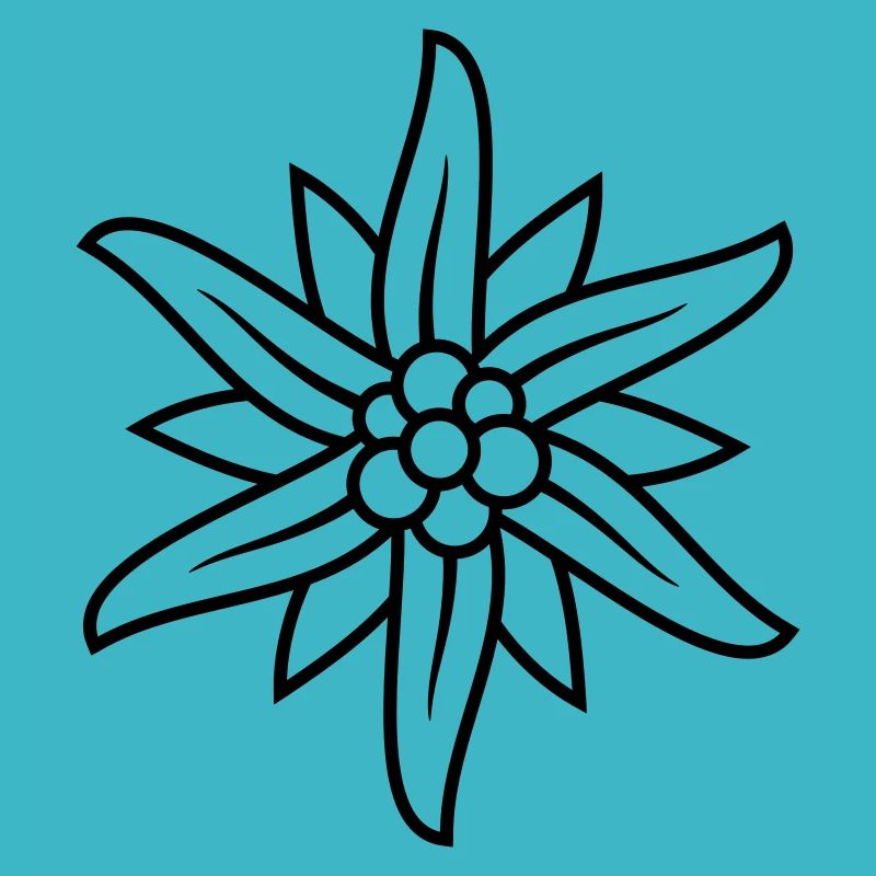 Logo Bergblume Edelweiss
