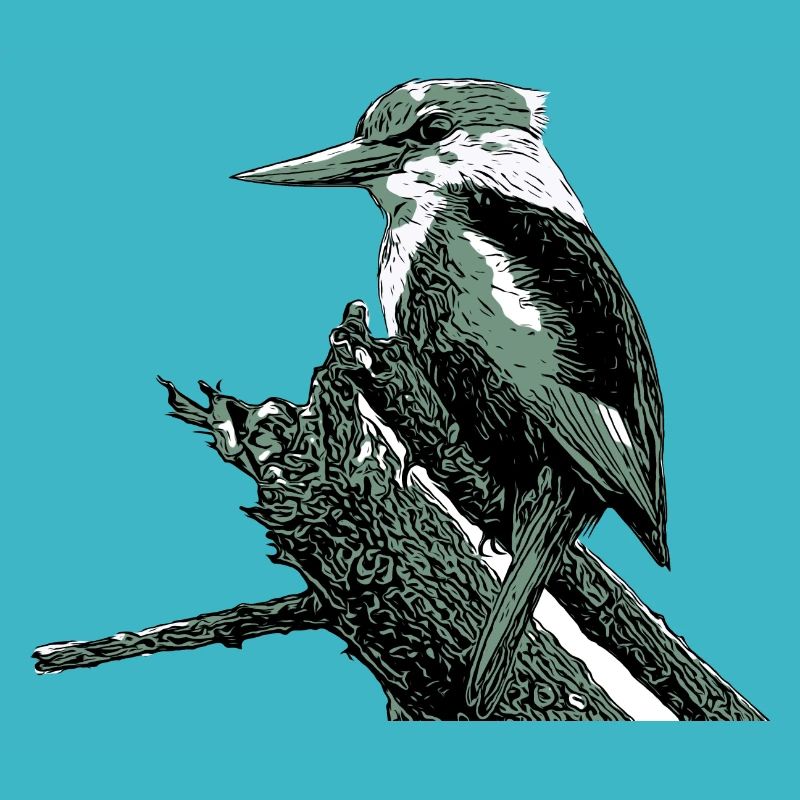 Eisvogel