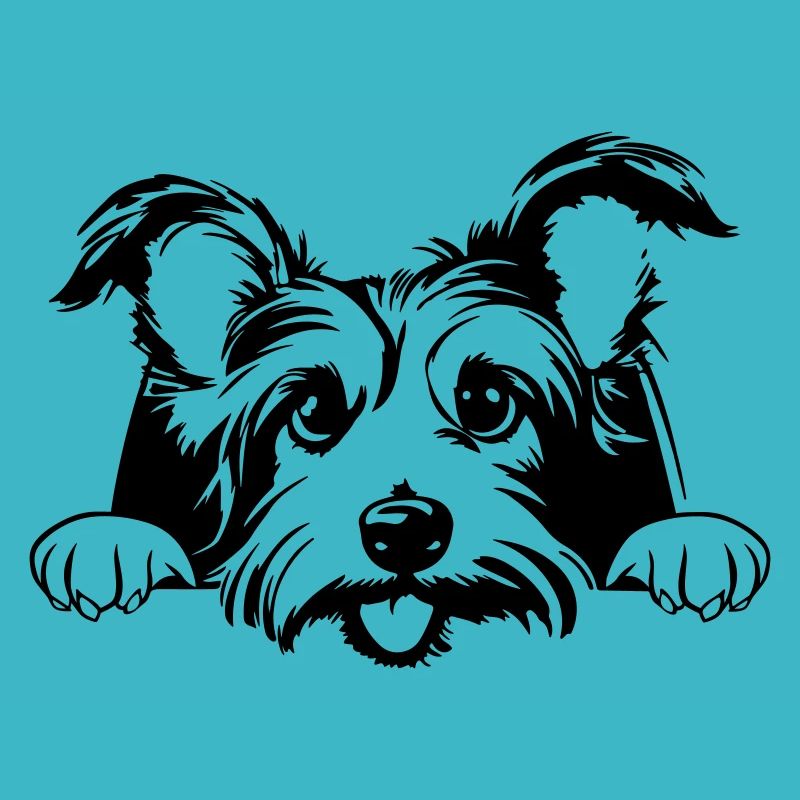 Little Terrier