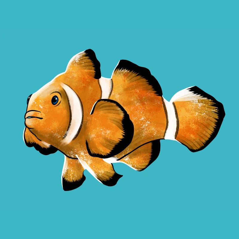 Clownfisch
