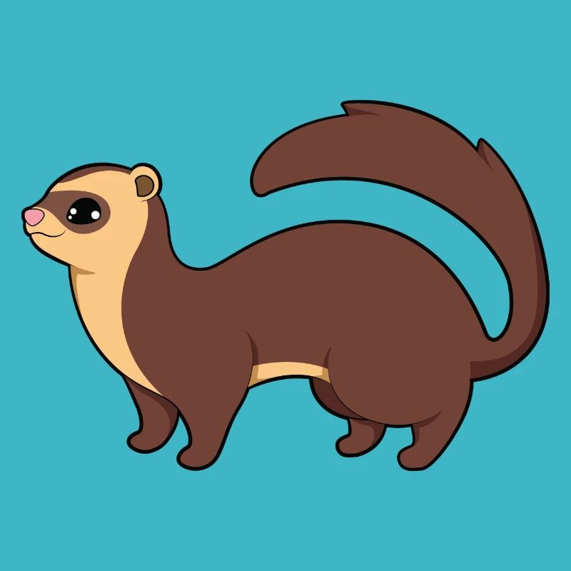 Ferret