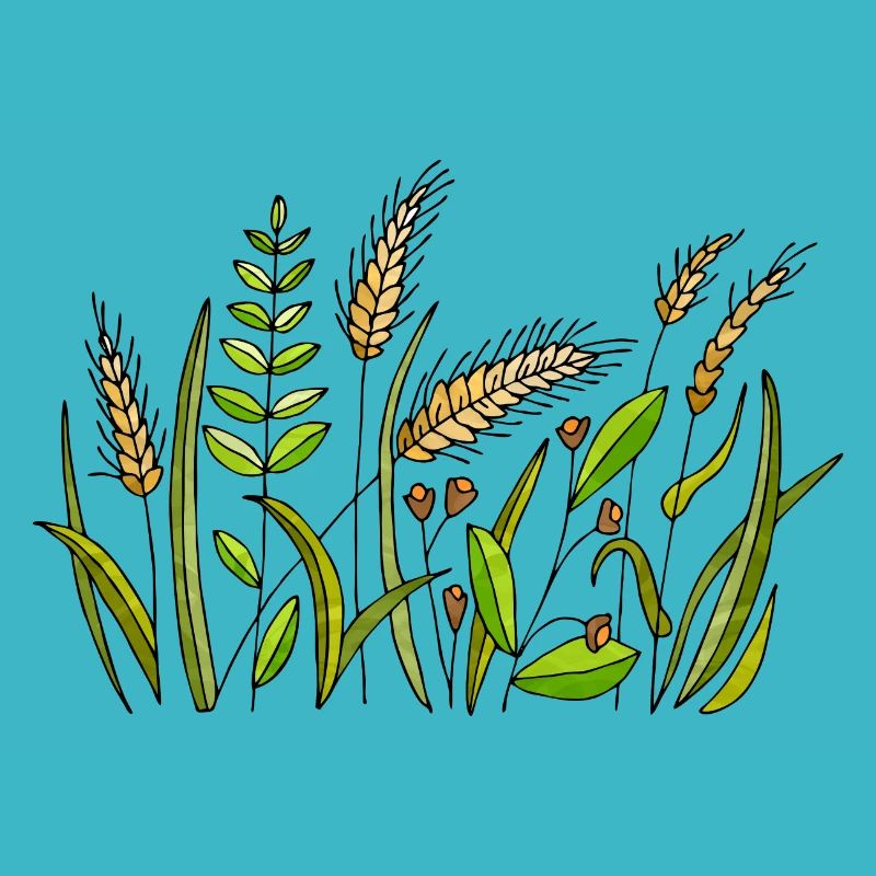 Gras