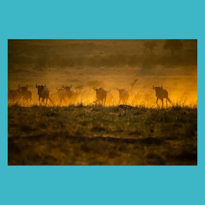 Great Migration D5N 7277