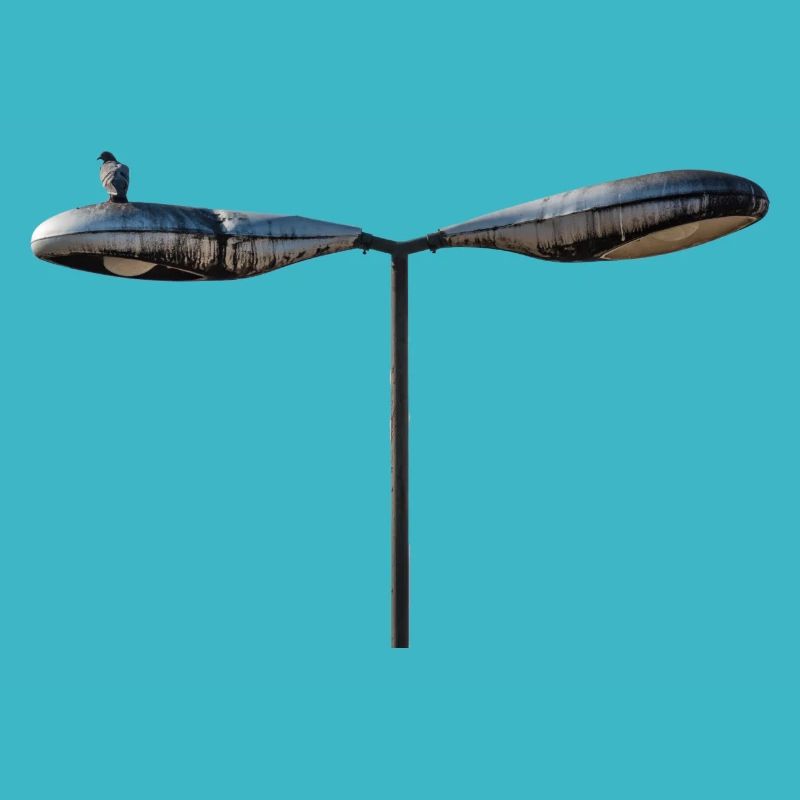 A single deaf on an old lamppost