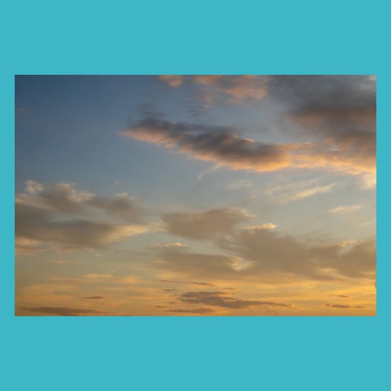Under morning sky