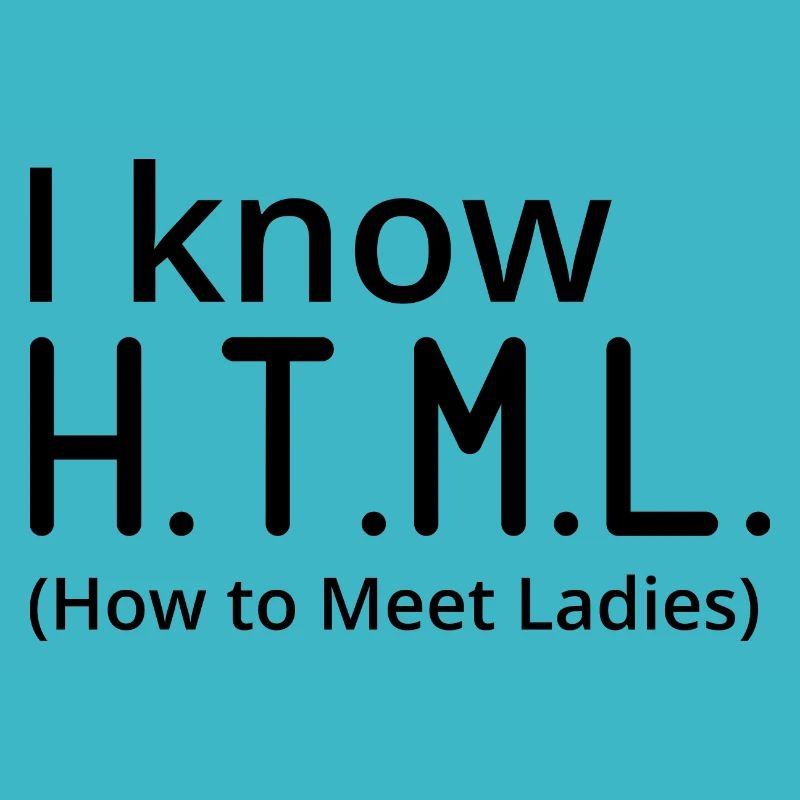 I Know HTML How To Meet Ladies Programmer Computer