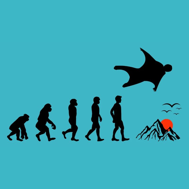 Wingsuit volant Base Jumping Skydiving Evolution