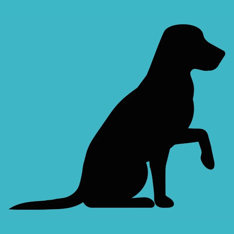 Hund