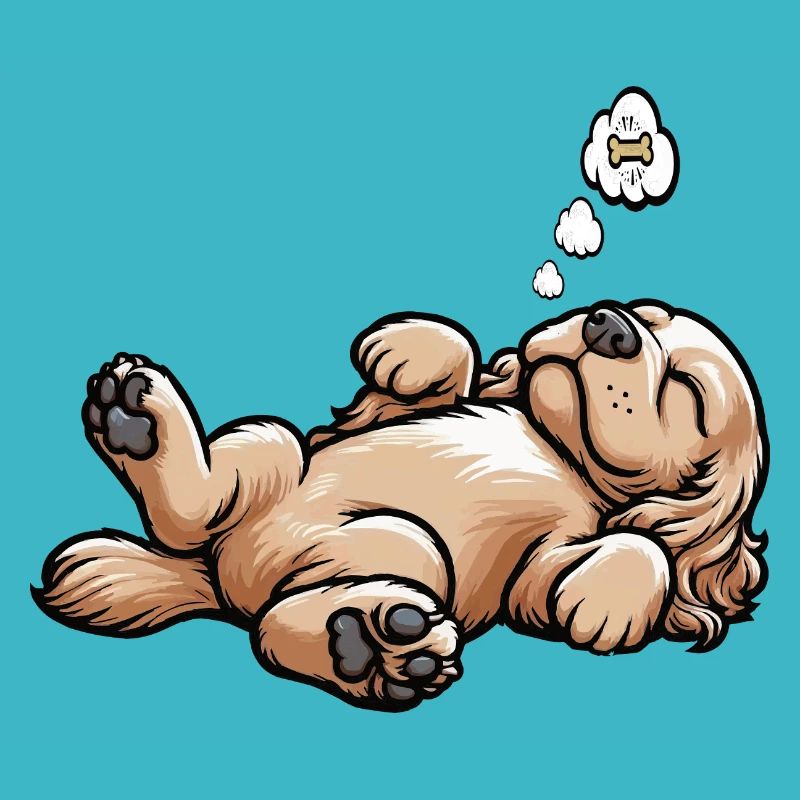 Cocker Spaniel Cockerhund Cocker Spaniel Besitzer