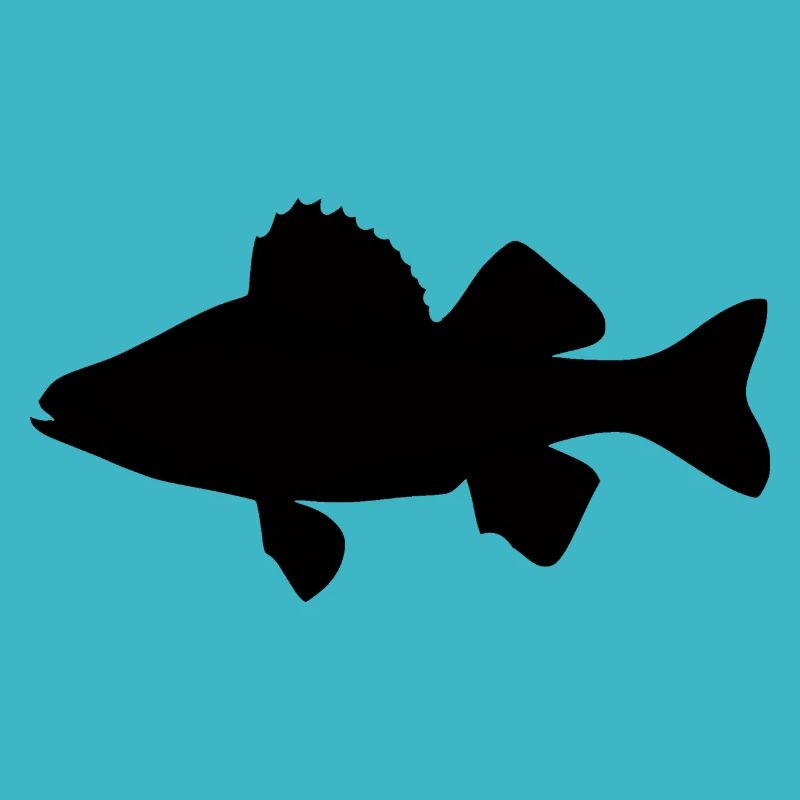 Perch black