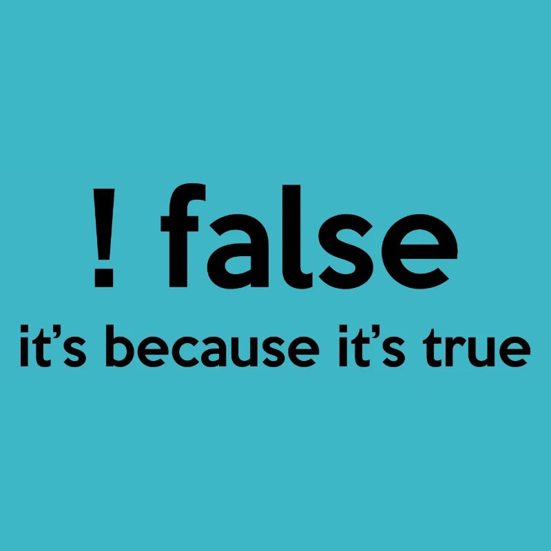 False It's Funny Because It's True Programmer Comp
