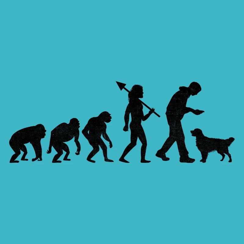 Evolution Golden Retriever GR Dog Retrievers