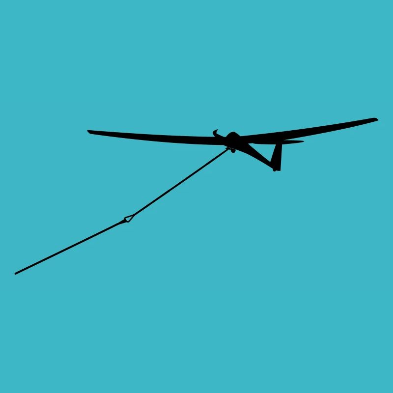 Glider Glider Glider Pilot Pilot