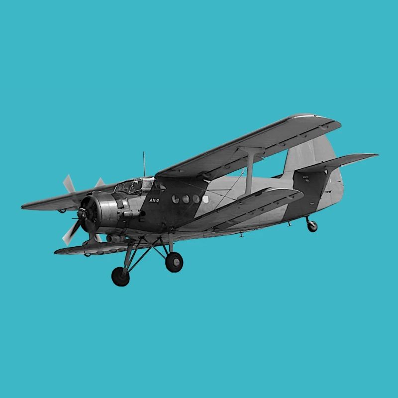 Flugzeug AN2 Doppeldecker Propeller Oldtimer