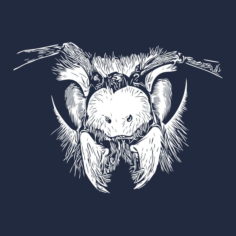 Insect - wasp - bee