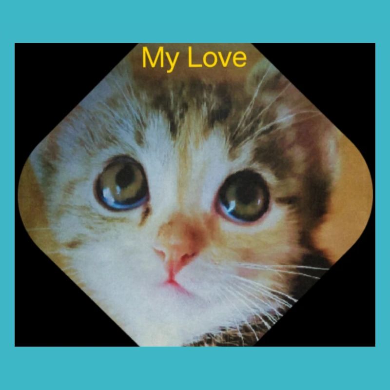 My Design