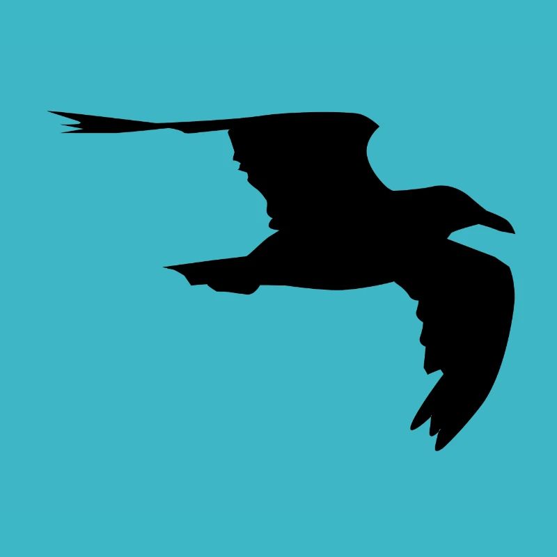 Mouette Mouette