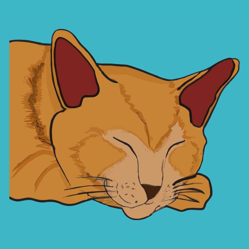 Sleeping Cat Illustration Gift