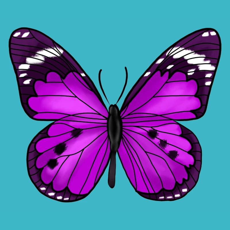 Papillon Violet