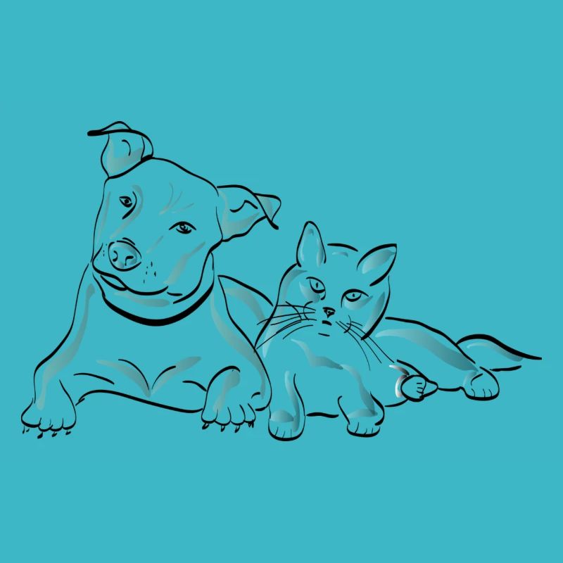 dog and cat