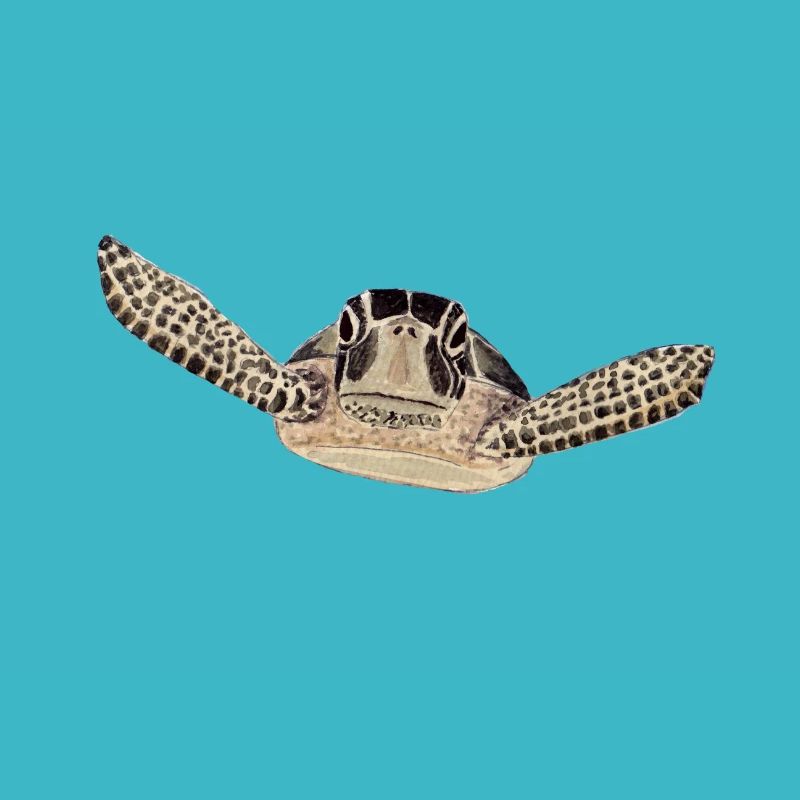 turtle 2