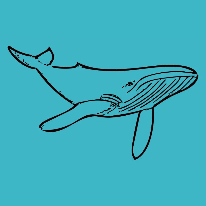 Baleine