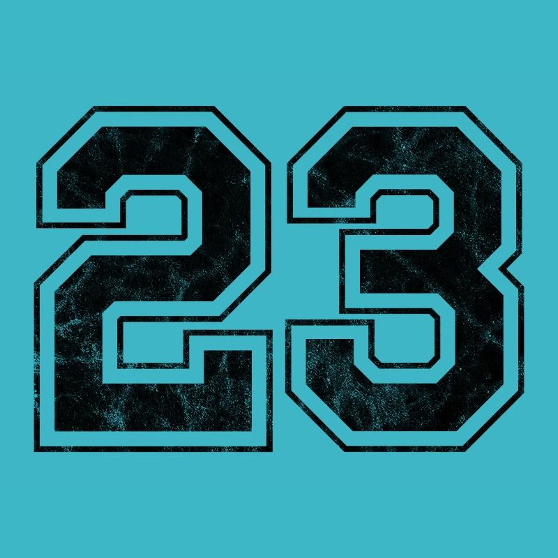 Number 23