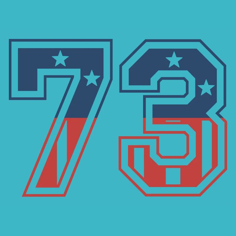 Number 73 USA