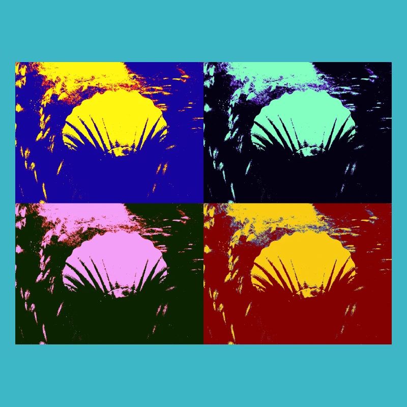 Shell