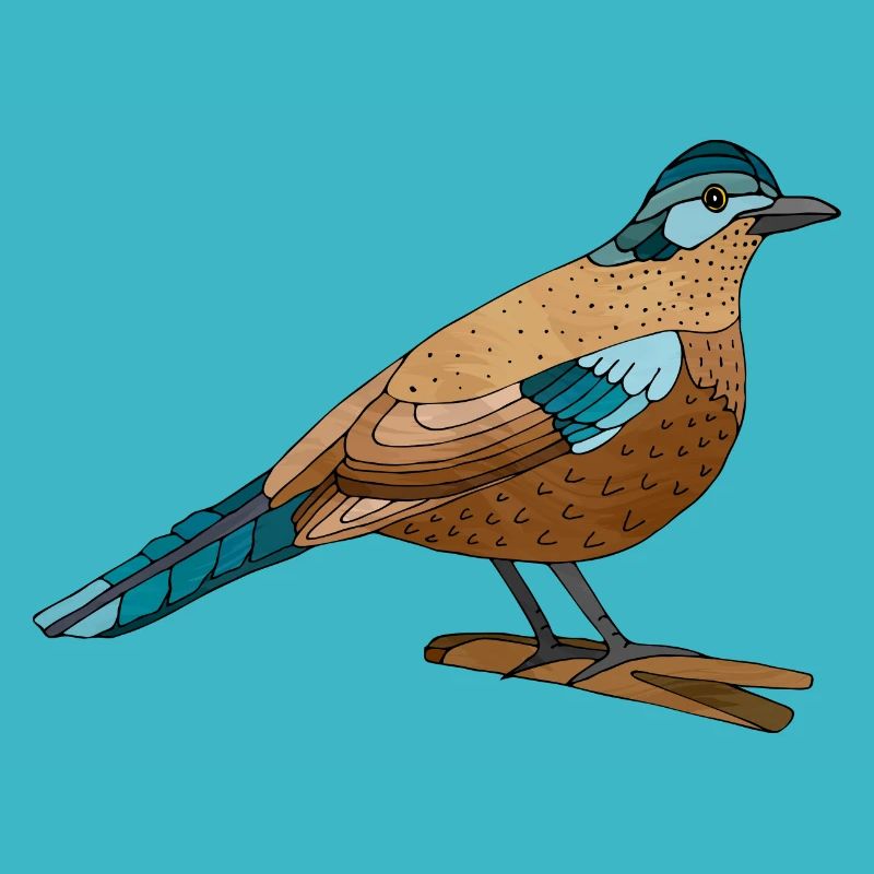 Bird