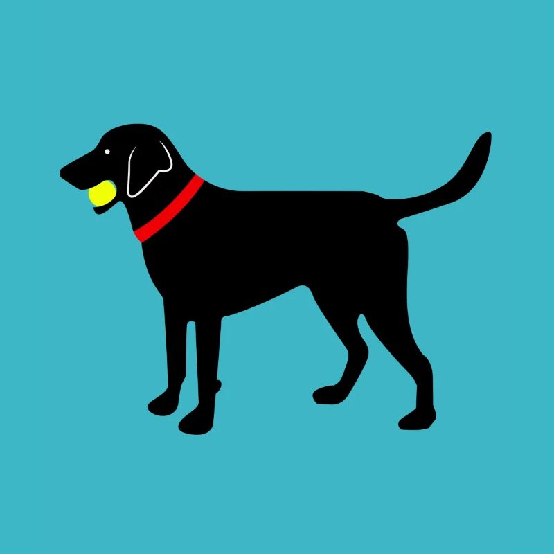 Labrador