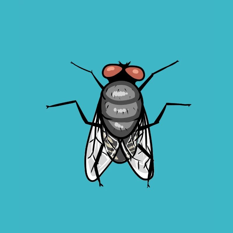 Mouche insectes Animaux