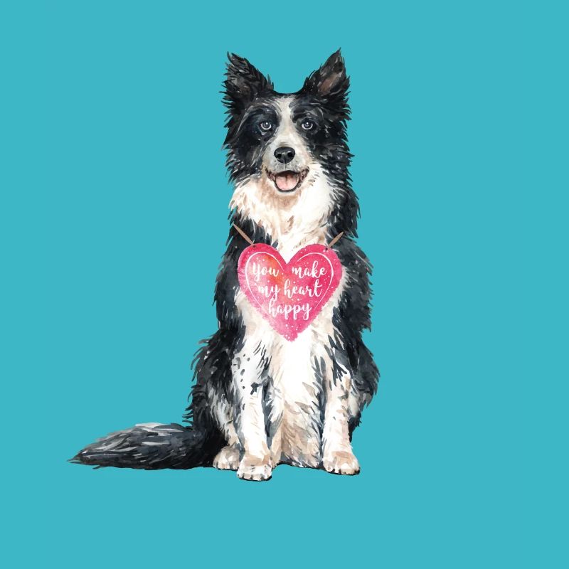 Amour de Border Collie