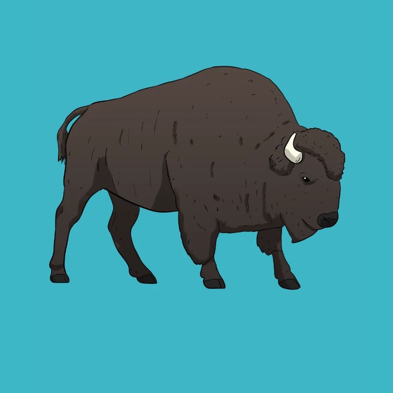 Buffle de bison