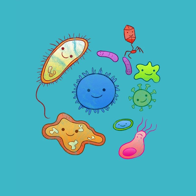 Microorganisme microbiologie microbiologiste bio