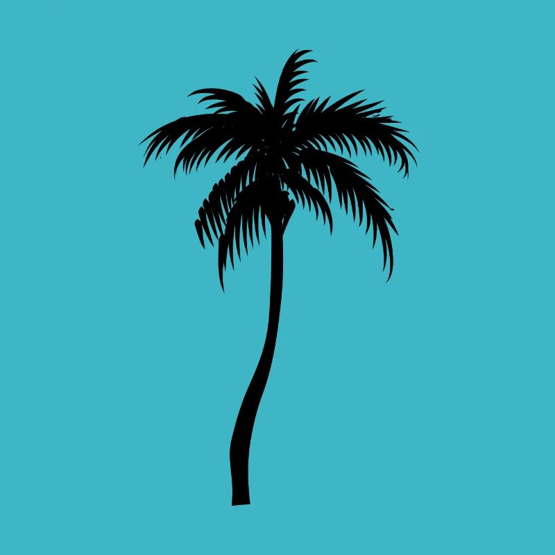 Palm tree palm