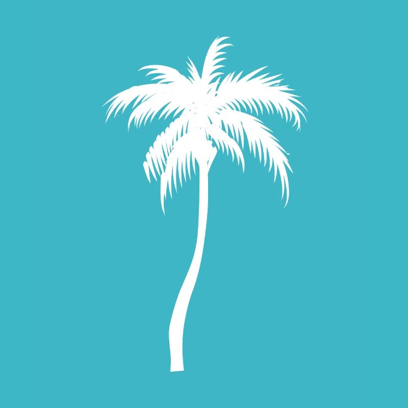 Palm tree palm