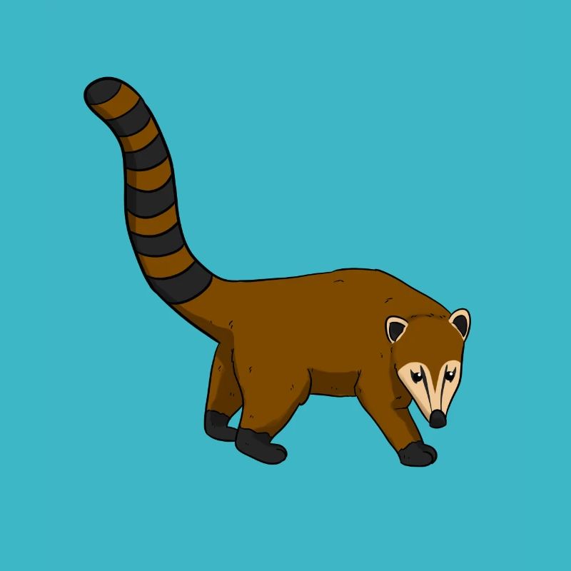 Coati