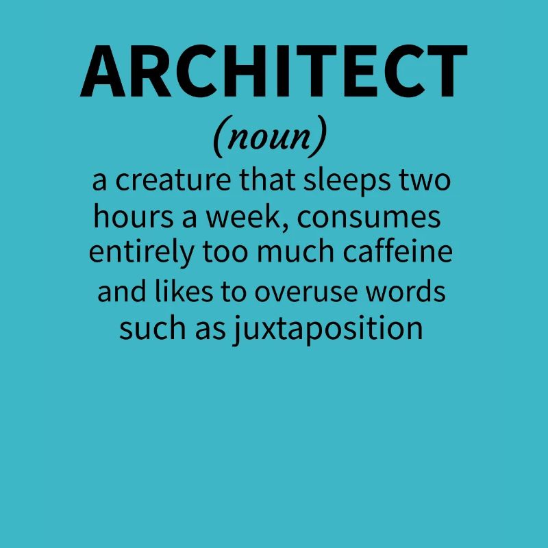 Architecture Gift Architecture Student Architect