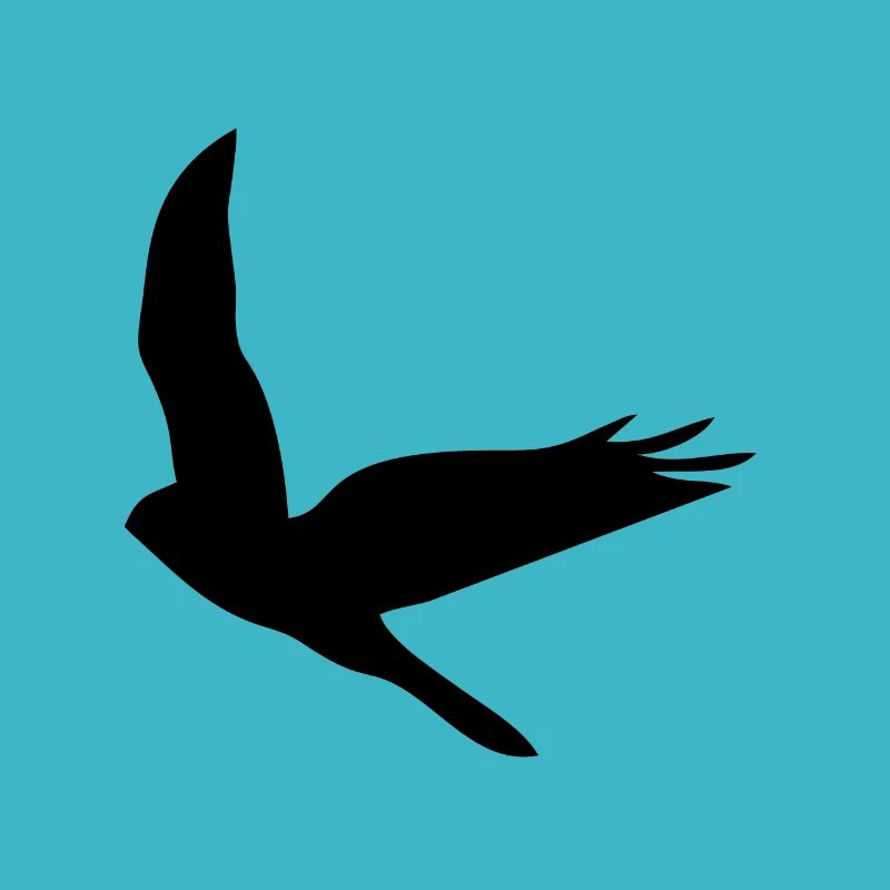 Oiseau Oiseau Oiseau Oiseaux