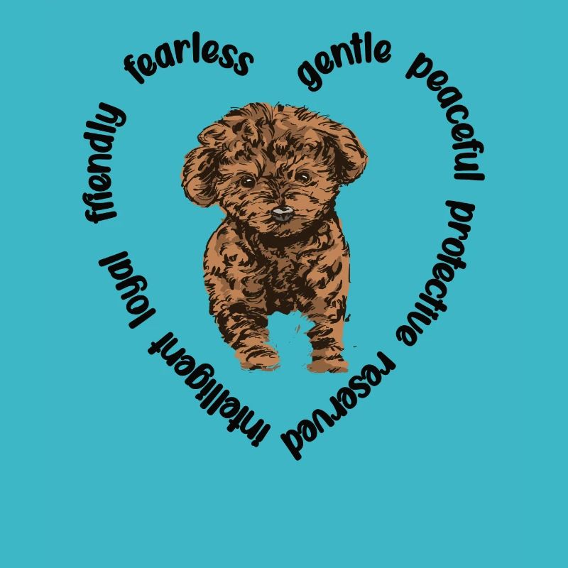 Cavapoo amoureux de chiens Cavoodle Mama Cavapoo