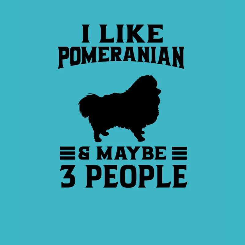 Spitz Pomeranian Zwergspitz Chien