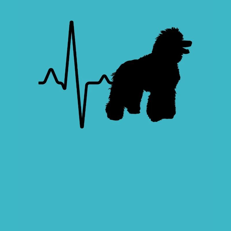 Battement de cœur de caniche