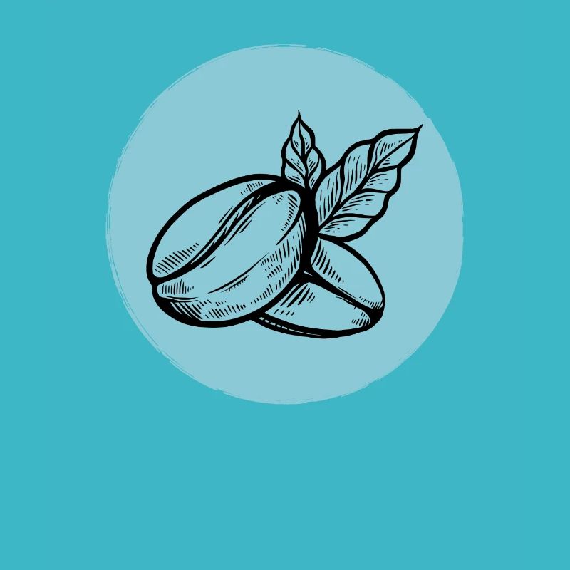 Coffee Coffee Bean