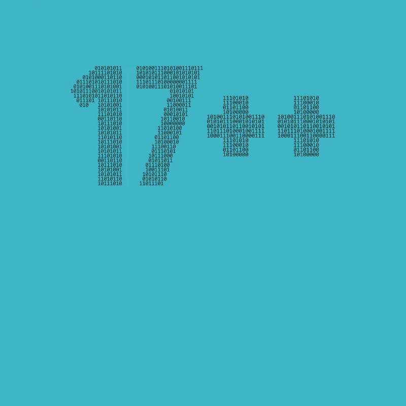 17++ Software Developer Coder Engineer 18th