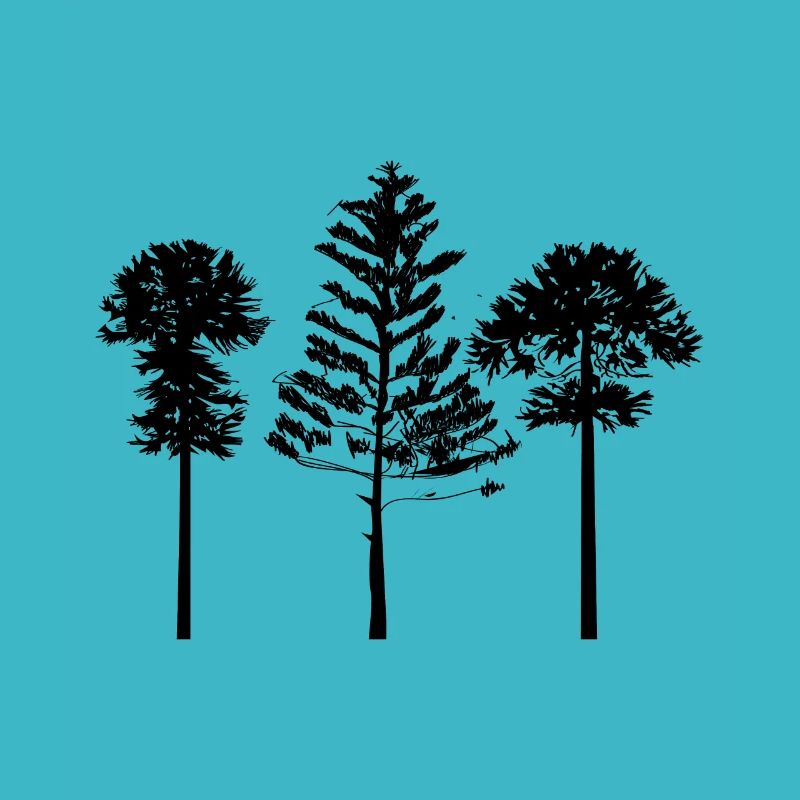 Baum